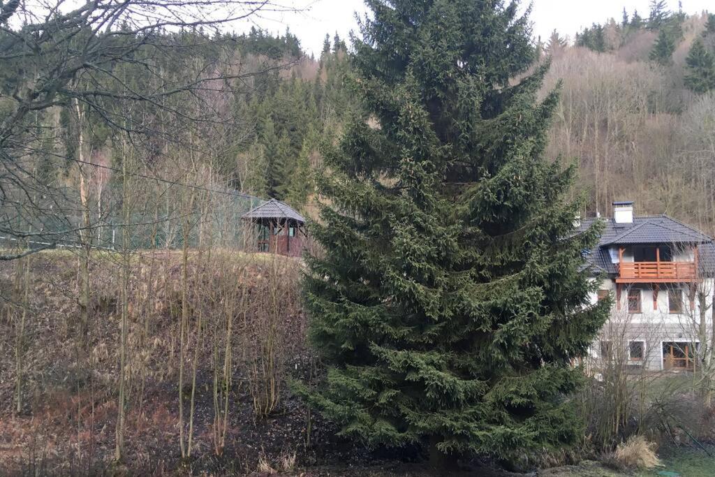 Villa Vykmanov Medenec Eksteriør billede
